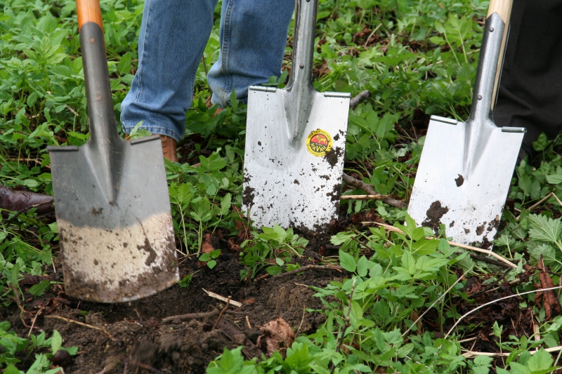 pepiniere-ARTIGUES-min_work-lawn-flower-tool-green-backyard-1103633-pxhere.com